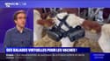 En Turquie, un agriculteur met des casques de réalité virtuelle à ses vaches