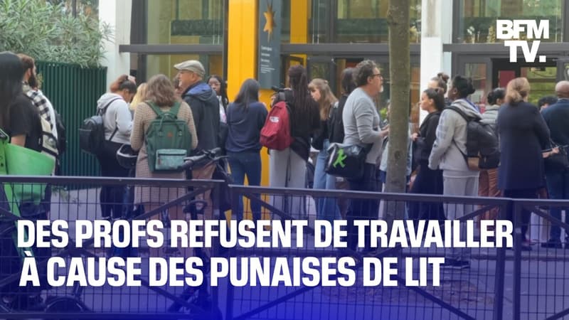14 salles d'un lycée infestées par des punaises de lit à Paris: des profs refusent de travailler