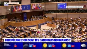 Élections européennes: qui sont les candidats normands?