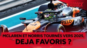 McLaren et Norris, encore plus irrésistibles en 2025 ?