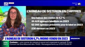 Elevage: les ventes d'agneaux de Sisteron sont en baisse