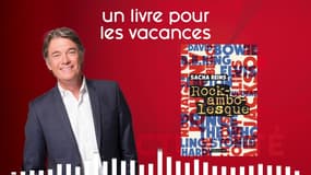 Un livre pour les vacances : le conseil rock d'Alain Marschall