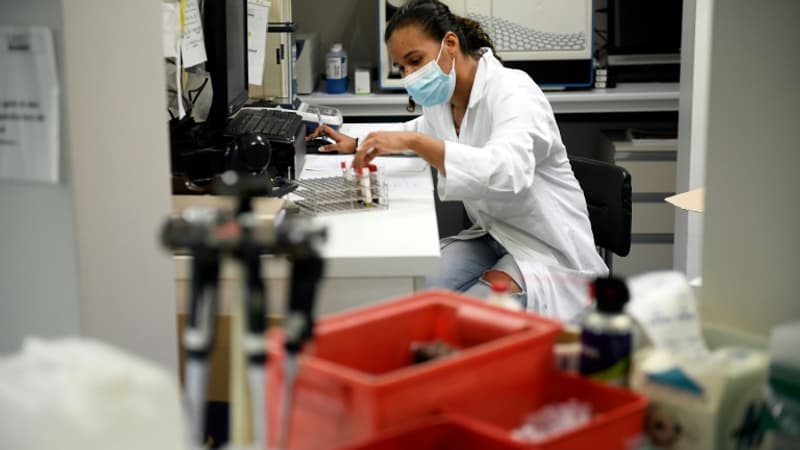 Laboratoires d'analyses: pourquoi les biologistes vont cesser d'alimenter les fichiers de tests Covid