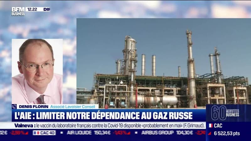 Denis Florin (Lavoisier Conseil) : L'AIE, limiter notre dépendance au gaz russe - 18/03
