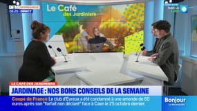 Jardinage, nos bons conseils de la semaine, est au menu du Café des Jardiniers