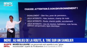 LES ÉCLAIREURS - Ce que dit la loi concernant la chasse 