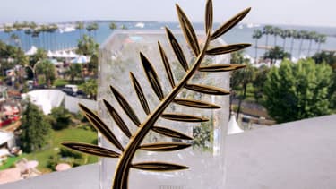 La Palme d'or du Festival de Cannes.