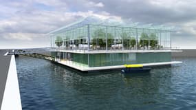 La ferme flottante de Rotterdam va ouvrir fin 2018. 