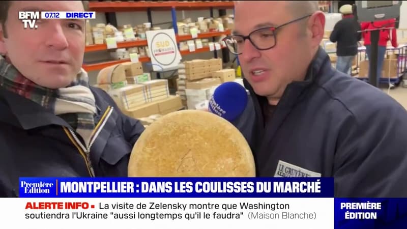 Dans les coulisses du marché d'intérêt national de Montpellier à la découverte des fromages locaux
