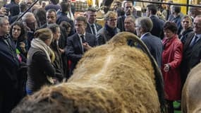 Emmanuel Macron au contact de la foule ce samedi 24 février au Salon de l'agriculture 2024.