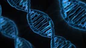 Le matériel génétique d'un organisme est composé à la fois de séquences codantes et d’autres non codantes. Les scientifiques ignorent lesquelles sont justement utiles. Il faut donc faire d’innombrables essais pour trouver les dizaines de millions de configuration pour une même structure d’acides aminés, donc d’une même protéine.