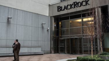 Le Fonds Blackrock, leader mondial de la gestion d'actifs, a la puissance pour faire avancer ses idées.