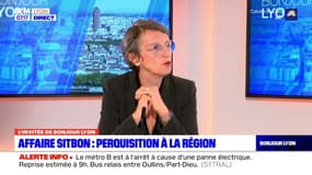 Affaire Sitbon: la perquisition à la Région "a duré toute la journée", selon l'écologiste Fabienne Grébert