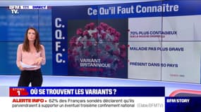 Covid-19: que sait-on des nouveaux variants ?