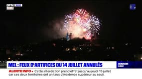 Métropole européenne de Lille: les feux d'artifice du 14 juillet annulés