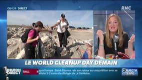 Objectif Terre : Le World Cleanup Day demain - 20/09