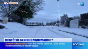 Normandie: la neige va faire son retour, la Seine-Maritime en vigilance orange