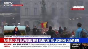 Dermatose nodulaire contagieuse: Sébastien Lecornu a rendu visite aux éleveurs de la ferme en Ariège 