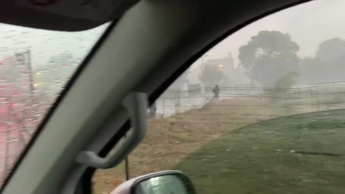 placeholder video