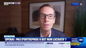 USA Today : OpenAI ne veut plus être une entreprise à but non lucratif par John Plassard - 17/06