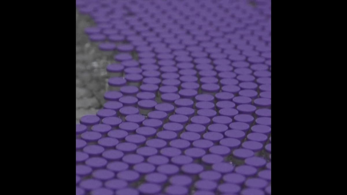 placeholder video