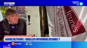L'invité de Bonjour Alsace du vendredi 26 septembre - Gérard Lorber