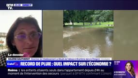 Record de pluie: "En 25 ans, je n'ai jamais connu 6 inondations d'affilée", témoigne cette restauratrice en Dordogne