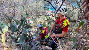 Un homme d'une trentaine d'années a chuté dans des rochers près du boulevard Maurice Maeterlinck à Nice.