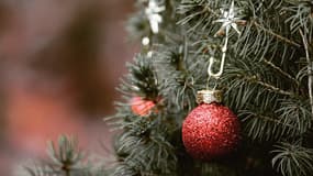 Un sapin de Noël. (Illustration)