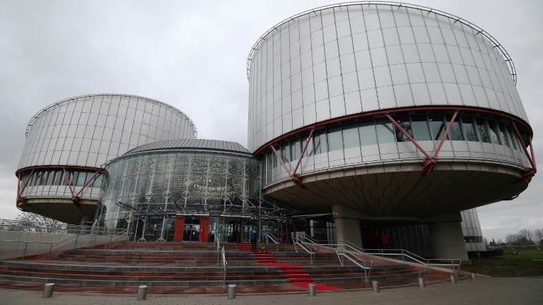 La Cour européenne des droits de l'homme (CEDH) à Strasbourg, le 7 février 2019.