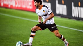 Guedes