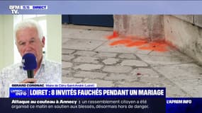 Invités renversés par une voiture lors d'un mariage: "Il s'agit d'un simple accident", confie Gérard Corgnac, maire Cléry-Saint-André (Loiret)