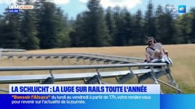 Col de la Schlucht: la luge sur rails, nouvelle attraction populaire du site exploitable toute l'année