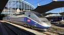 Ce projet de "TGV du futur" figurait parmi les plans de la Nouvelle France industrielle présentés en 2013 par Arnaud Montebourg.
