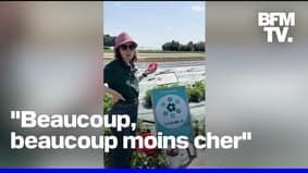 Choisir vos propres fruits et légumes: un bon plan économique et sain