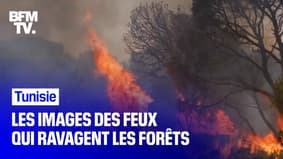 La Tunisie est également touchée par les feux de forêts
