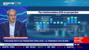 L'accélération du fléchage des flux financiers vers l'ESG - 07/12