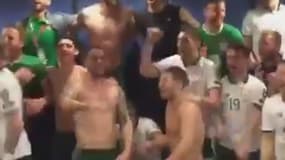 Les joueurs de l'Irlande
