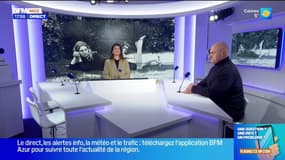 Bonsoir la Côte d'Azur du mercredi 7 janvier 2026