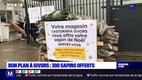 Givors: 300 sapins de Noël offerts par un magasin de bricolage 