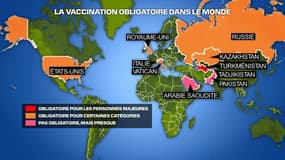 Ces pays qui ont choisi de rendre la vaccination anti-covid obligatoire. 