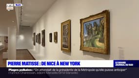 Nice: une exposition sur le marchand d'art Pierre Matisse