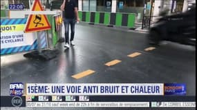 Paris: une voie anti-bruit et anti-chaleur dans le 15e arrondissement