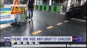 Paris: une voie anti-bruit et anti-chaleur dans le 15e arrondissement