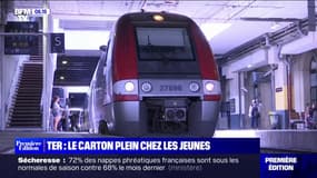 Billets de trains à un euro, abonnements, tarifs réduits... les offres à bas prix des TER cartonnent chez les jeunes cet été