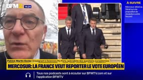 Mercosur: "Une crise peut s'ouvrir", assure Patrick Martin-Genier, spécialiste des questions européennes