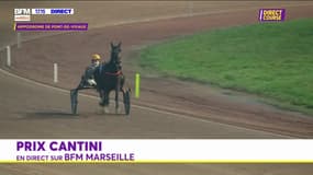 Courses hippiques: revivez le Prix Cantini R4C3 à Marseille-Vivaux