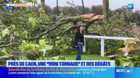 Calvados: de fortes rafales de vent font des dégâts à proximité de Caen