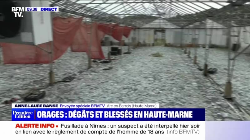 Les images d'une serre totalement ravagée par les orages à Arc-en-Barrois, en Haute-Marne