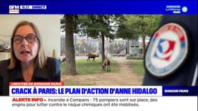 Crack à Paris: Anne Souyris assure que "trois à quatre centres" peuvent être mis en place dans les semaines à venir